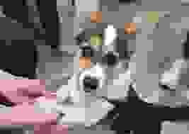 broken image