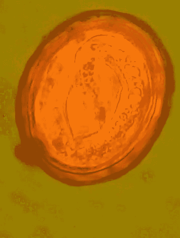 broken image