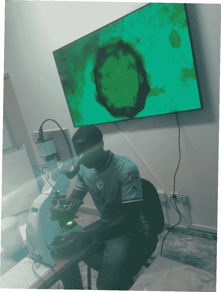 broken image