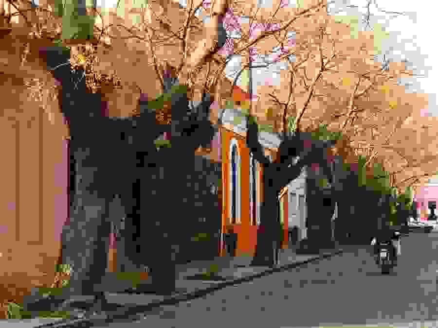 Section image