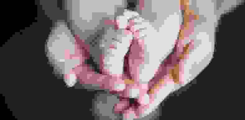 Section image
