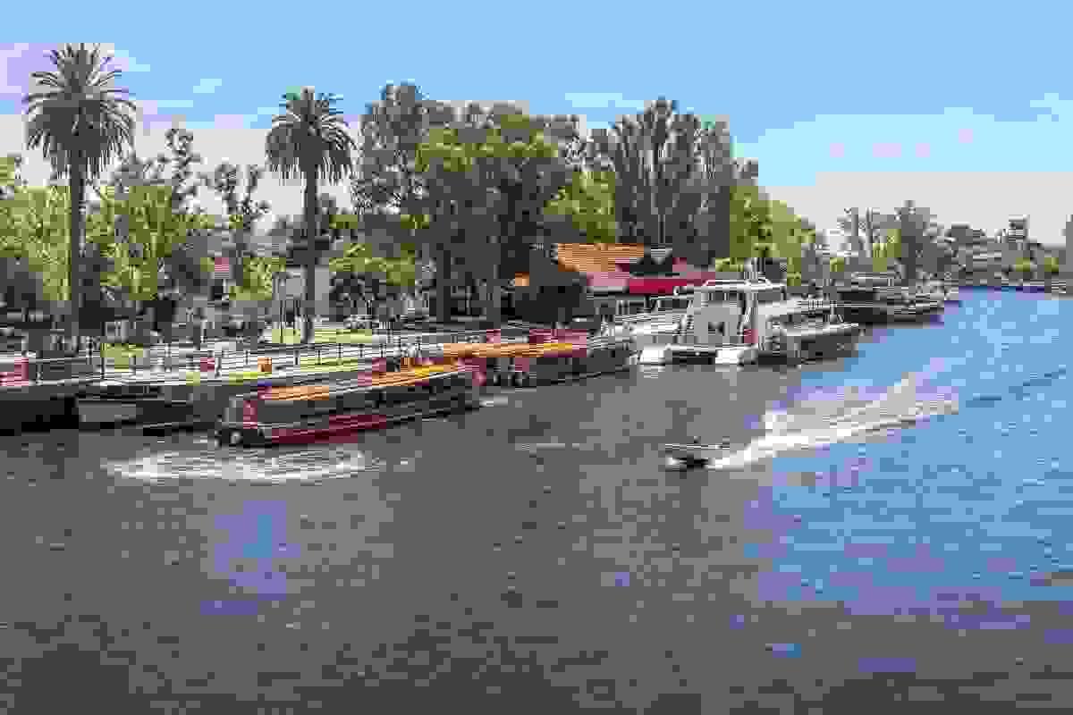 Section image