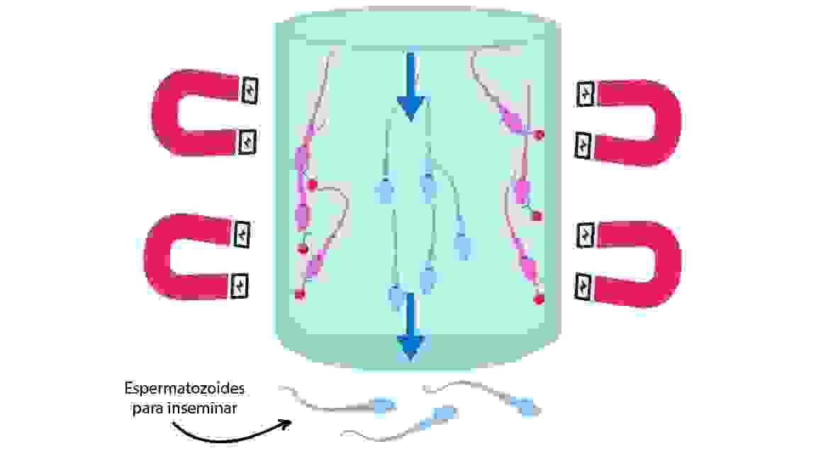 We will tailor personalized medical plans for each customer to ensure that your special needs are met. personalized medical plan Our service In Argentina, doing in vitro fertilization, egg donation treatment to obtain a child We will tailor personalized medical plans for each customer to ensure that your special needs are met. personalized medical plan Our service In Argentina, doing in vitro fertilization, egg donation treatment to obtain a child