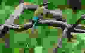 broken image