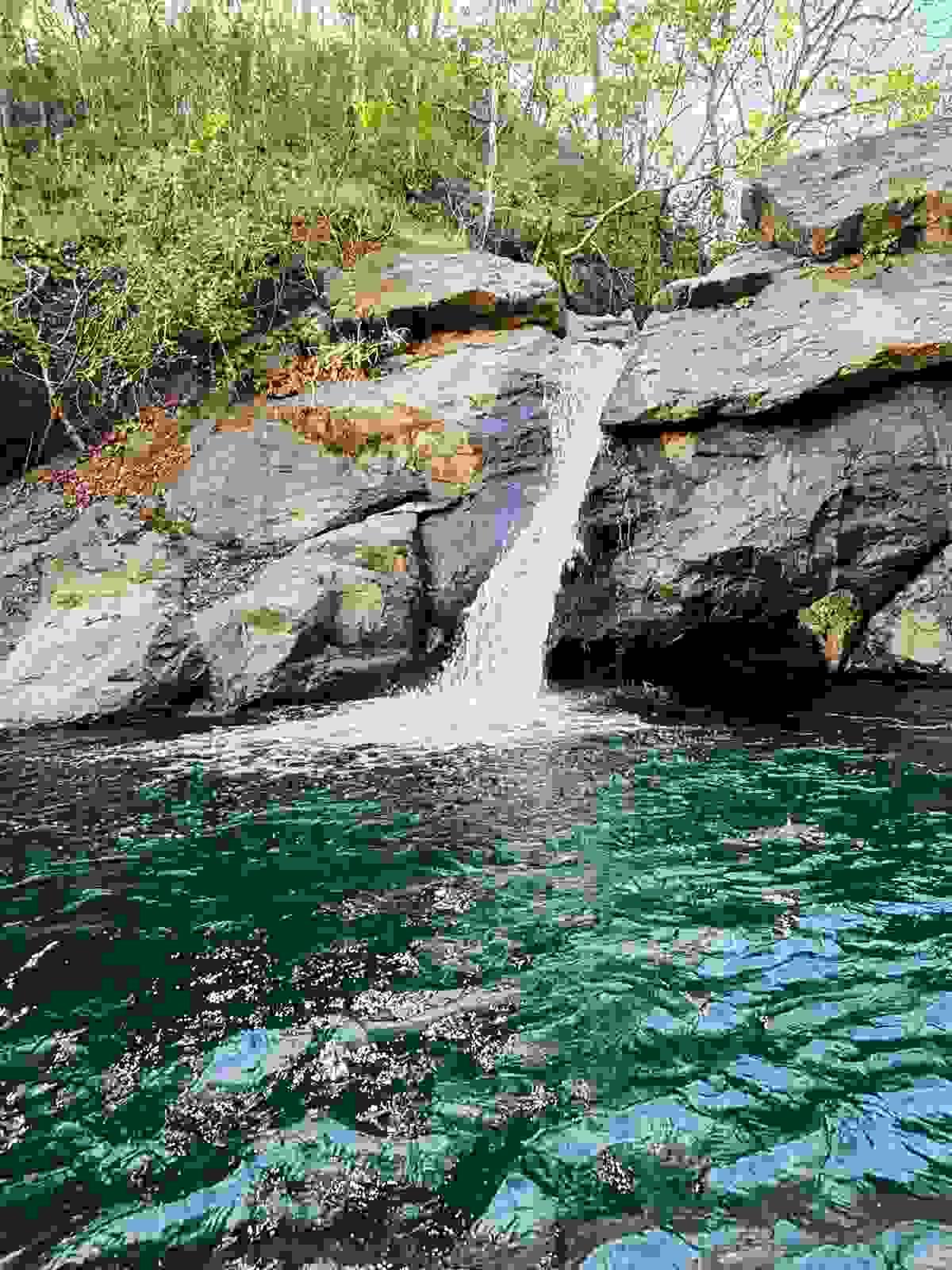 broken image