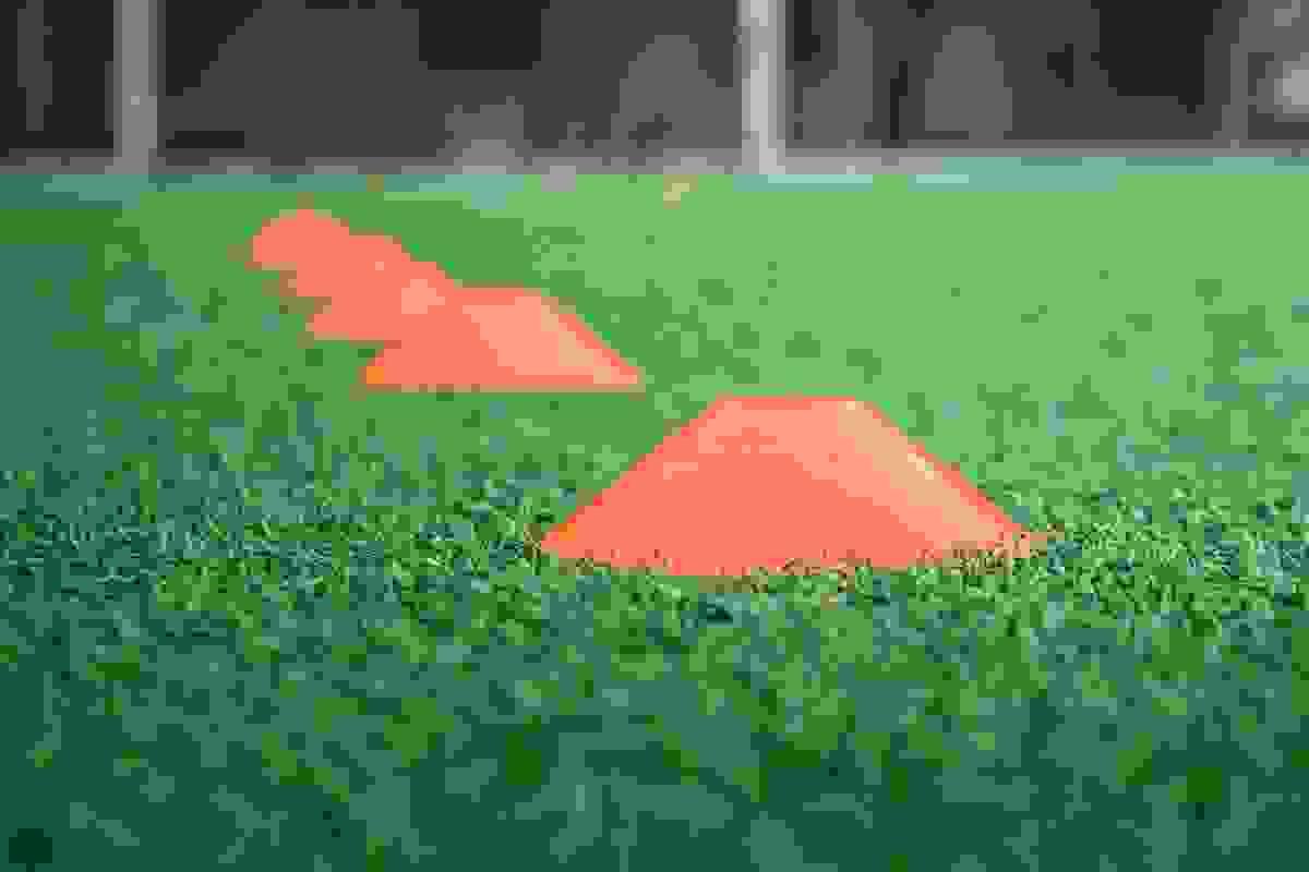 broken image