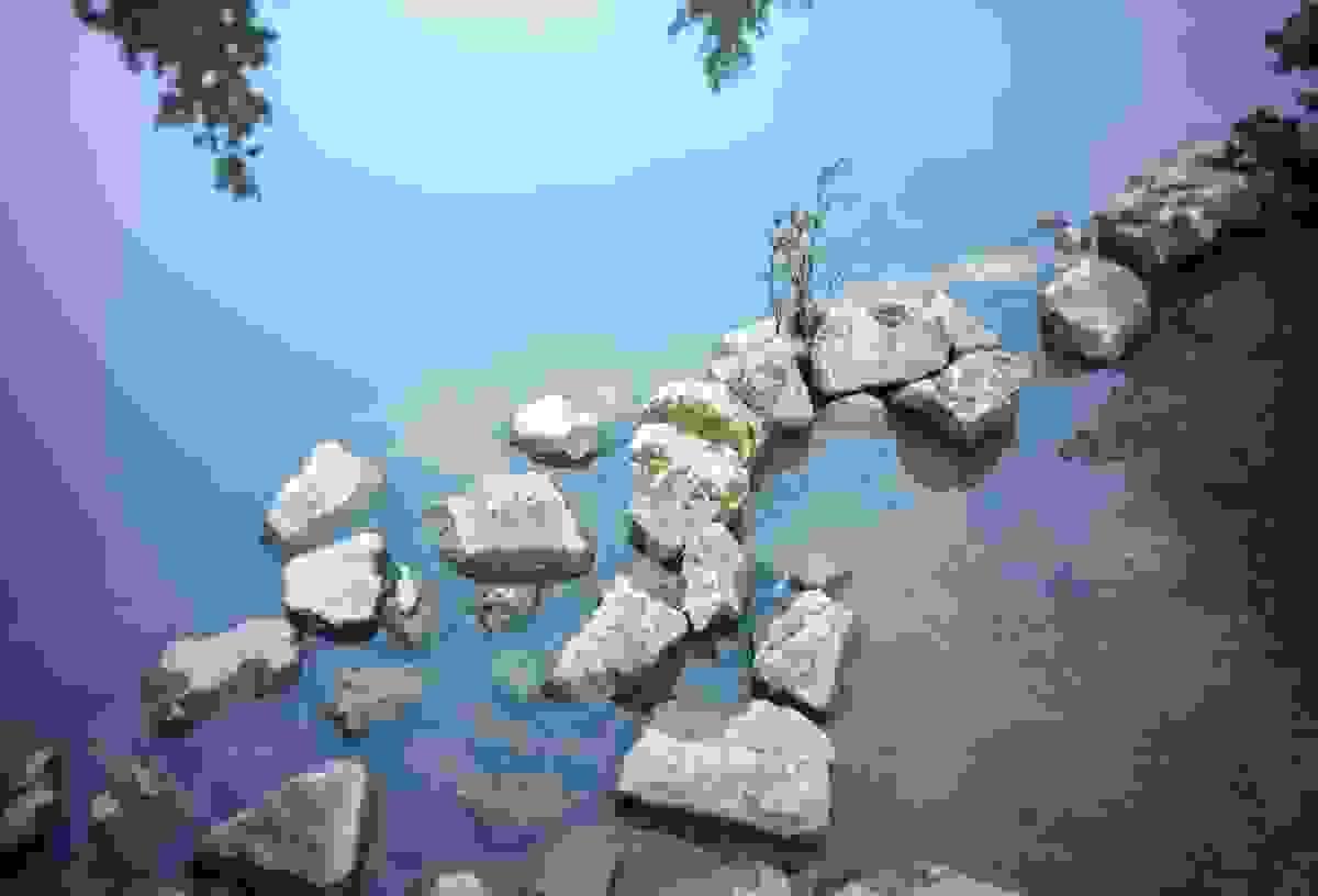 Section image