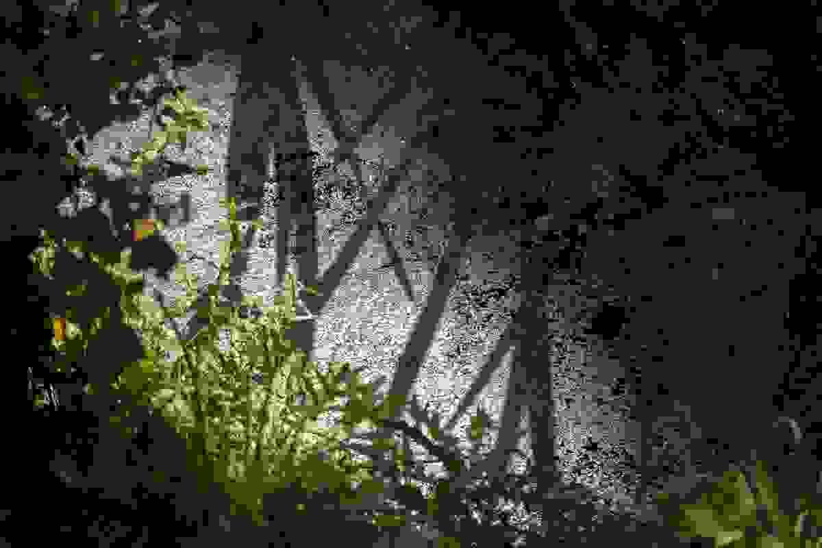 Section image
