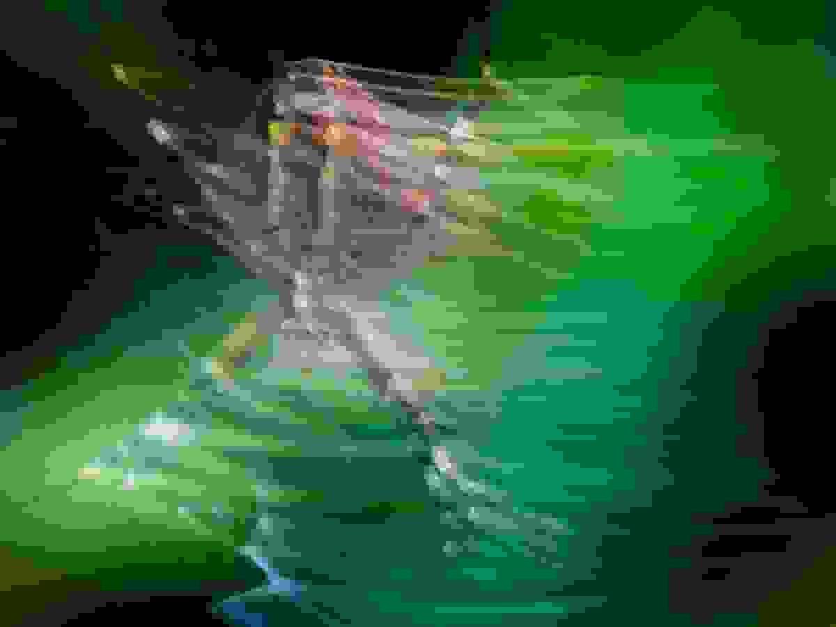 Section image
