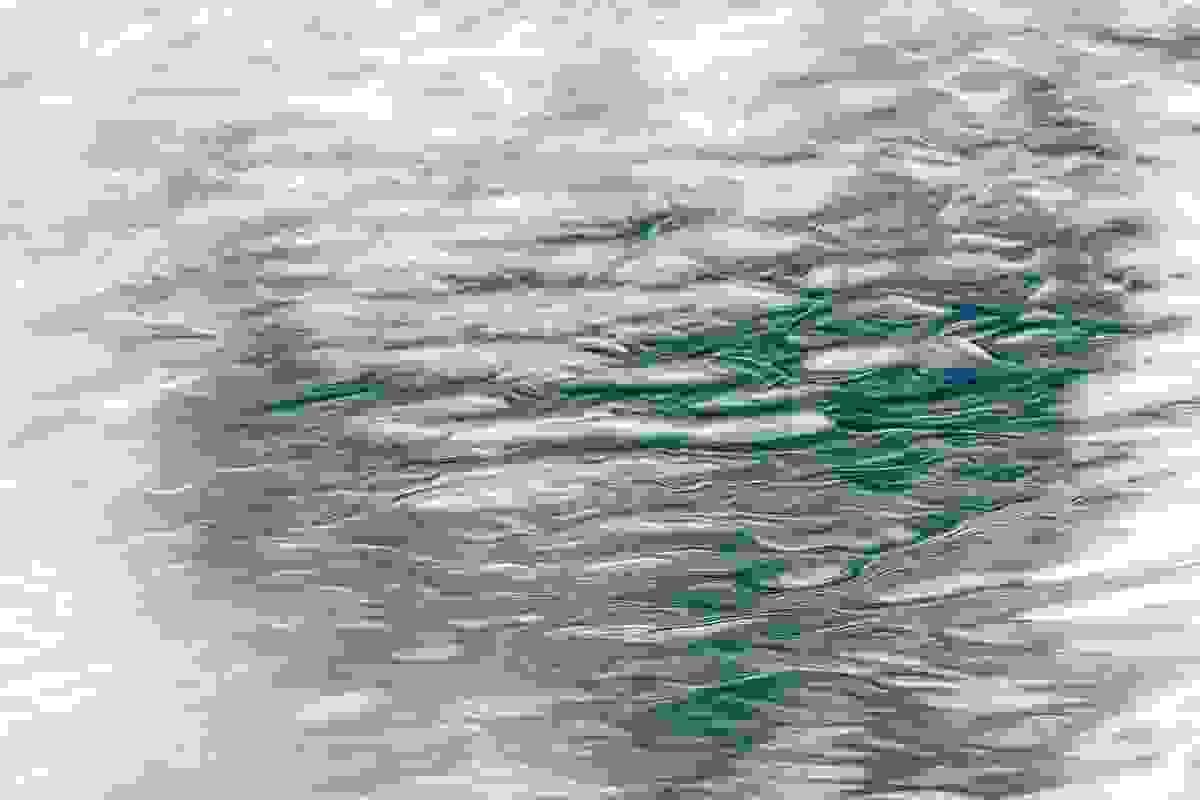Section image