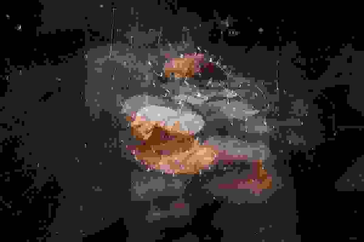 Section image