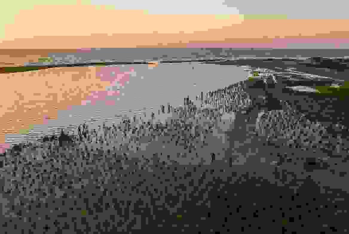 — Marie Koutou Thanks to La Petite Colline Benin, we were able to strengthen the capacities of young people so that they become agents of change in their community. Our commitment has improved the quality of life of many communities across Benin. Establishing and maintaining peace, fighting against poverty and other situations of vulnerability, and protecting the environment are principles that are stated in the fundamental law of most countries in the world. But such a mission cannot be solely the responsibility of the State, because even though it exercises its prerogatives, it also strives, through various legal provisions, to create the conditions to allow various organizations or structures to invest in the same direction. LPC-BENIN unites its members driven by the same ideal, to create bonds of understanding and solidarity among them to participate in education, good governance, and contribute to environmental protection.