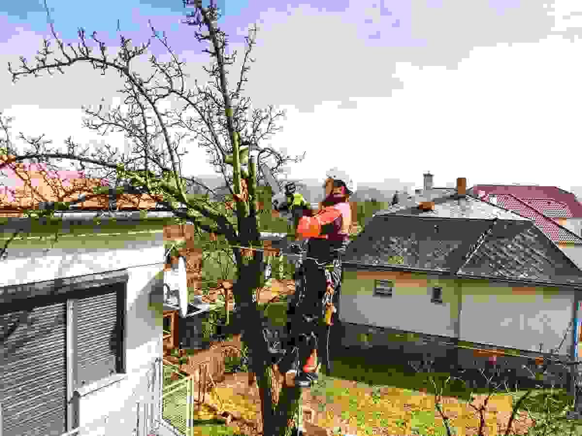 broken image