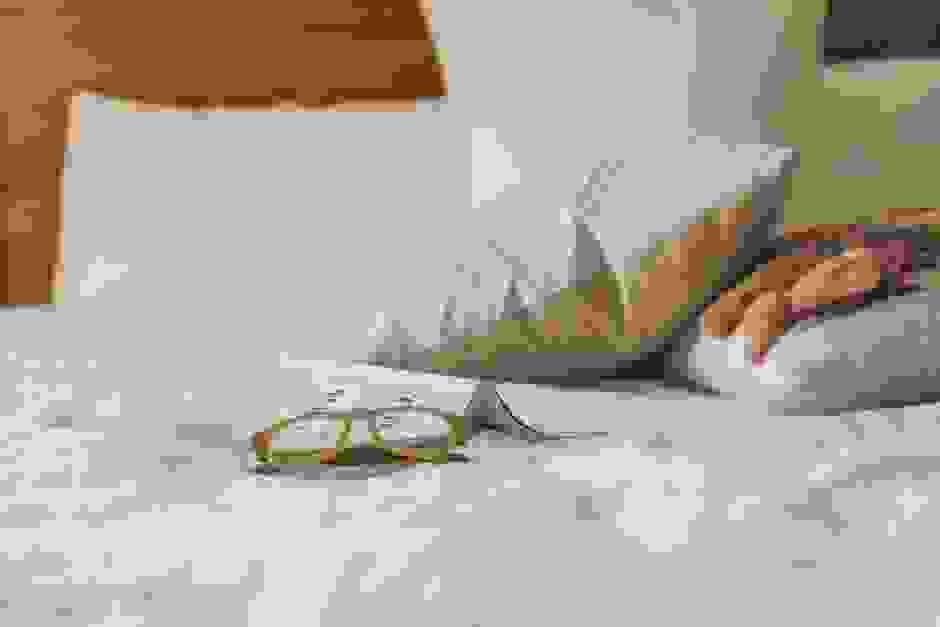 broken image
