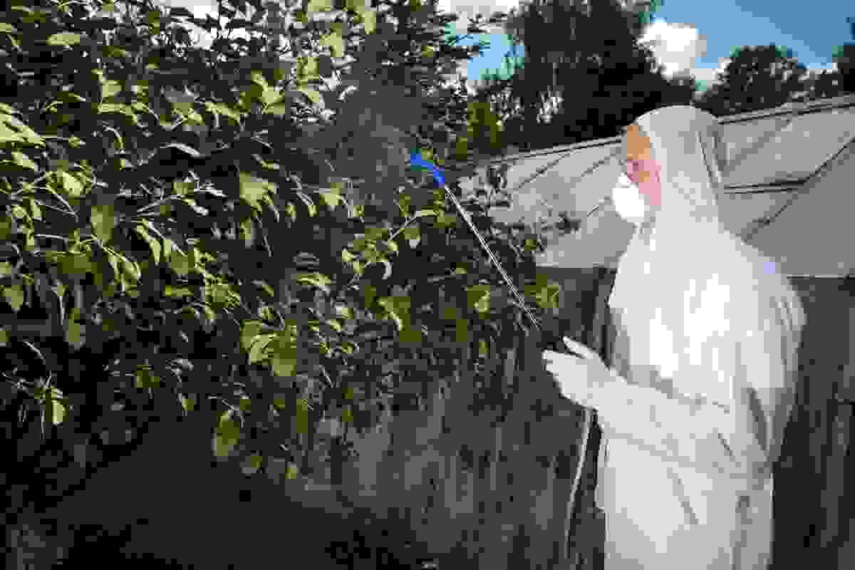 broken image