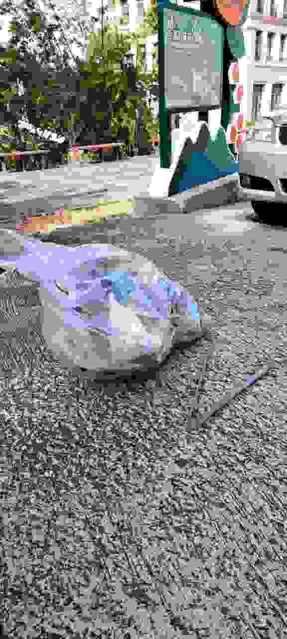 broken image