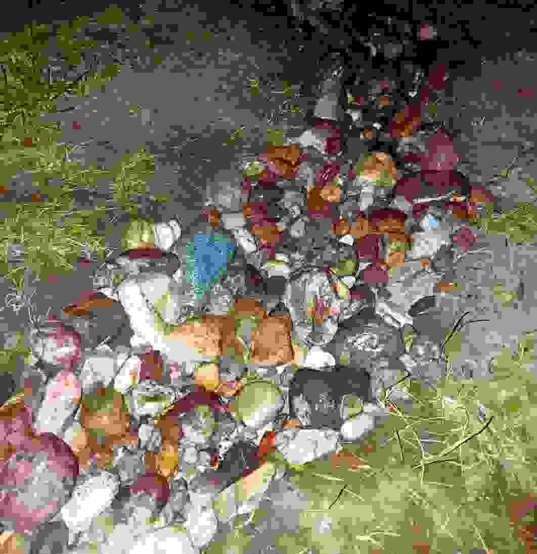 Section image