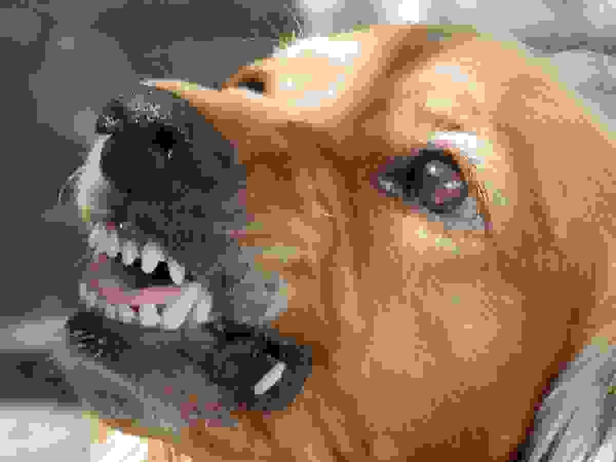 broken image