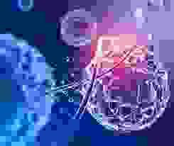 broken image
