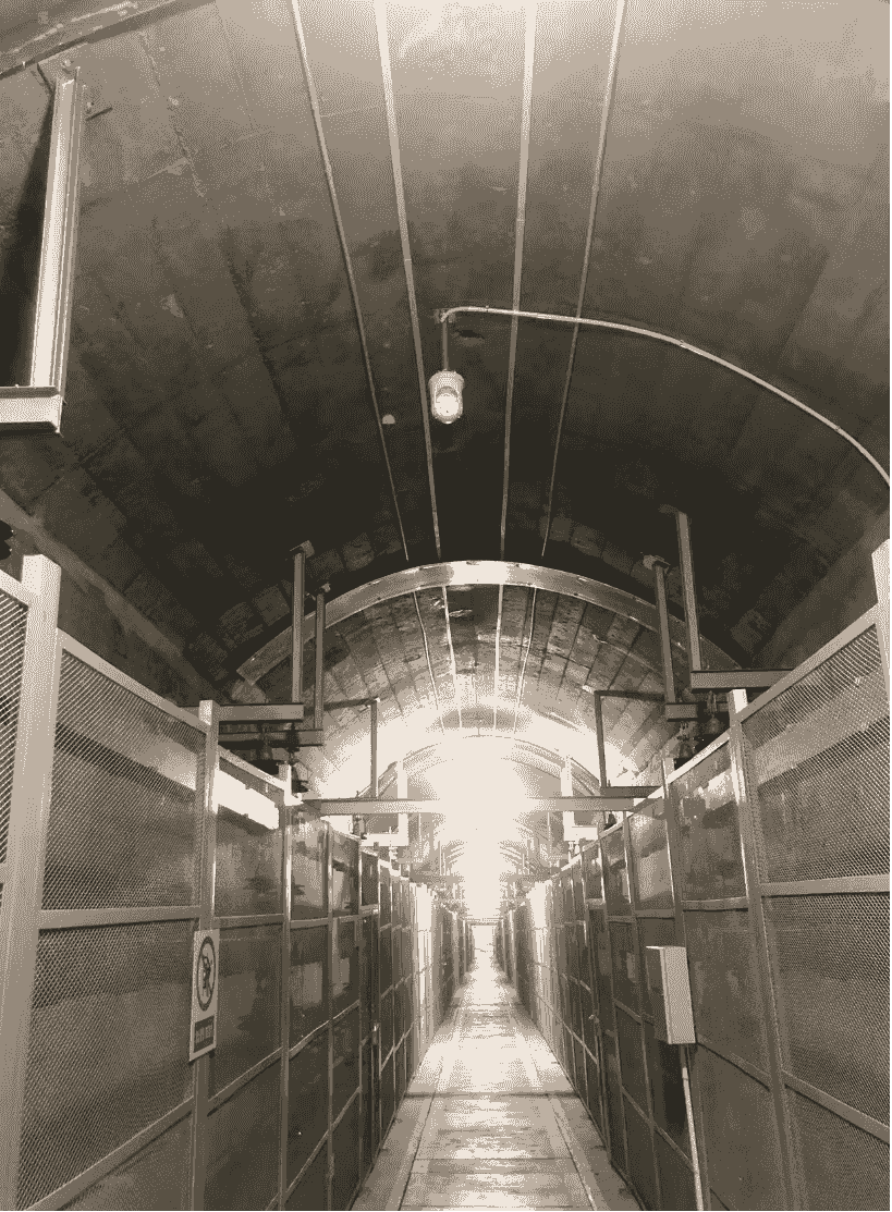 — Liu Fang As a project manager, Robot's products make complex automation processes simple and clear, greatly saving our time. Our team has helped over 1000 clients successfully implement their robot product plans. Advanced Robot product plan — Liu Fang As a project manager, Robot's products make complex automation processes simple and clear, greatly saving our time. Our team has helped over 1000 clients successfully implement their robot product plans. Advanced Robot product plan