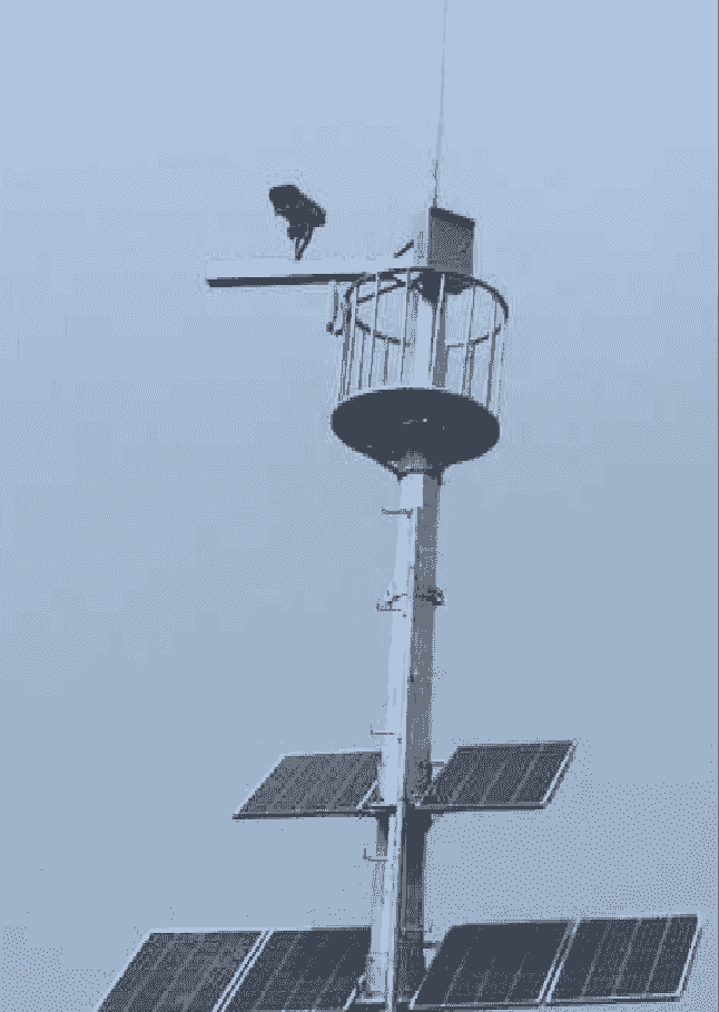 Our robot is equipped with an intuitive user interface, convenient for operation and monitoring, enhancing user experience. user friendly interface Our mission Advanced Robot product plan Our robot is equipped with an intuitive user interface, convenient for operation and monitoring, enhancing user experience. user friendly interface Our mission Advanced Robot product plan