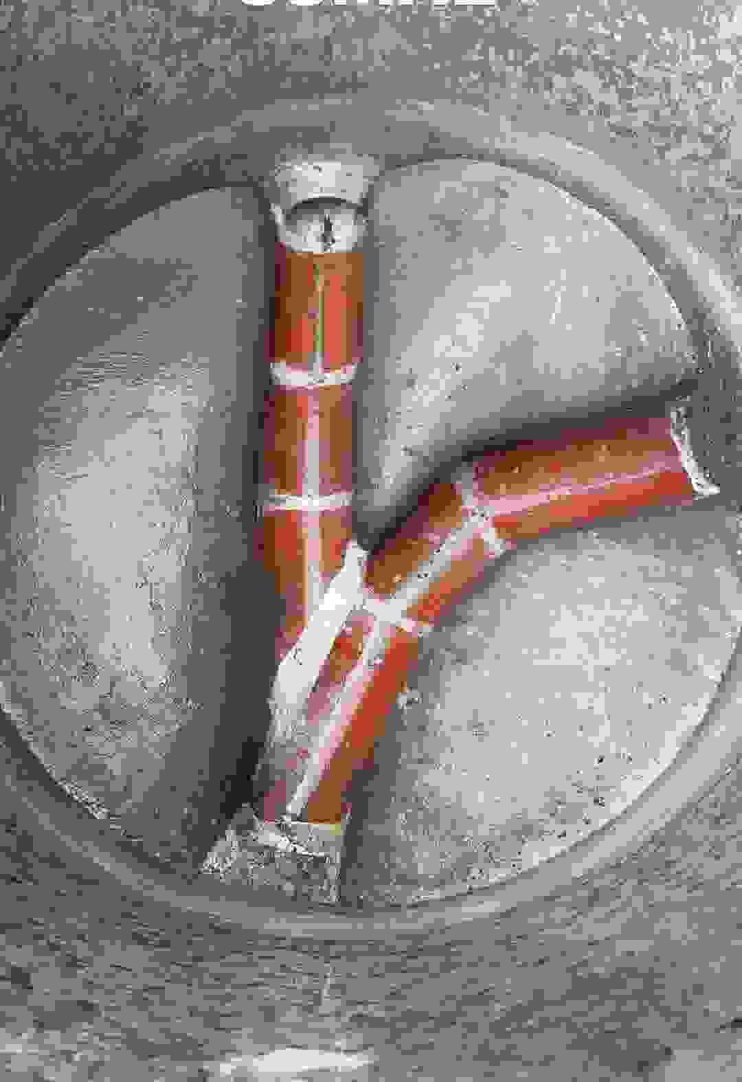 We provide tailored drainage services for residential properties, focusing on efficiency and affordability to enhance your home’s functionality. Residential Drainage Solutions What We Offer We are Auckland Council and Watercare certified contractors, specialize in subdivision, residential and commercial projects in Auckland wide. Our fully licensed professional work team provide high-efficiency service and affordable price to help you reach the goal. - Send to us your EPA to get a free quote today! We provide tailored drainage services for residential properties, focusing on efficiency and affordability to enhance your home’s functionality. Residential Drainage Solutions What We Offer We are Auckland Council and Watercare certified contractors, specialize in subdivision, residential and commercial projects in Auckland wide. Our fully licensed professional work team provide high-efficiency service and affordable price to help you reach the goal. - Send to us your EPA to get a free quote today!