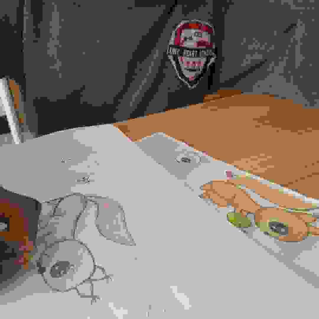 broken image