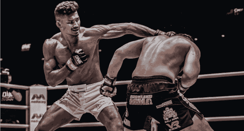 MMA, MARTIOL ARTS, UFC