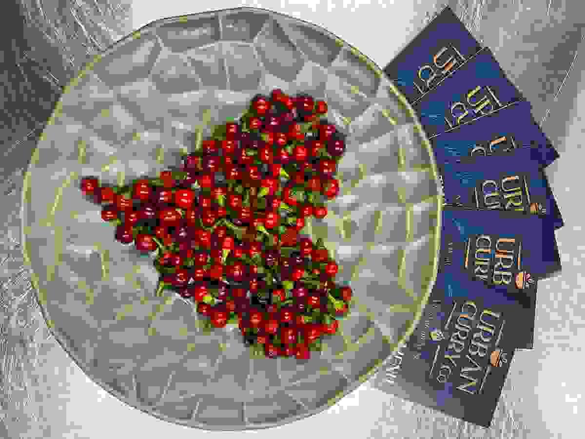 — Amina Chowdhury “Every bite at Urban Curry Company takes me back to my childhood in Bangladesh. Absolutely delicious!” Our guests have savored the authentic flavors of Bangladesh at Urban Curry Company A modern contemporary Bangladeshi resturant offering the finest cuisines in the heart of Stafoordshire. — Amina Chowdhury “Every bite at Urban Curry Company takes me back to my childhood in Bangladesh. Absolutely delicious!” Our guests have savored the authentic flavors of Bangladesh at Urban Curry Company A modern contemporary Bangladeshi resturant offering the finest cuisines in the heart of Stafoordshire.