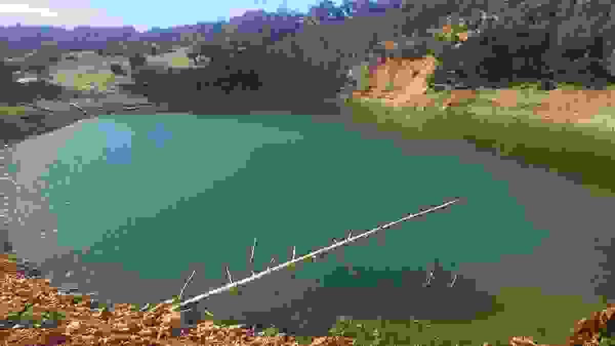 Section image