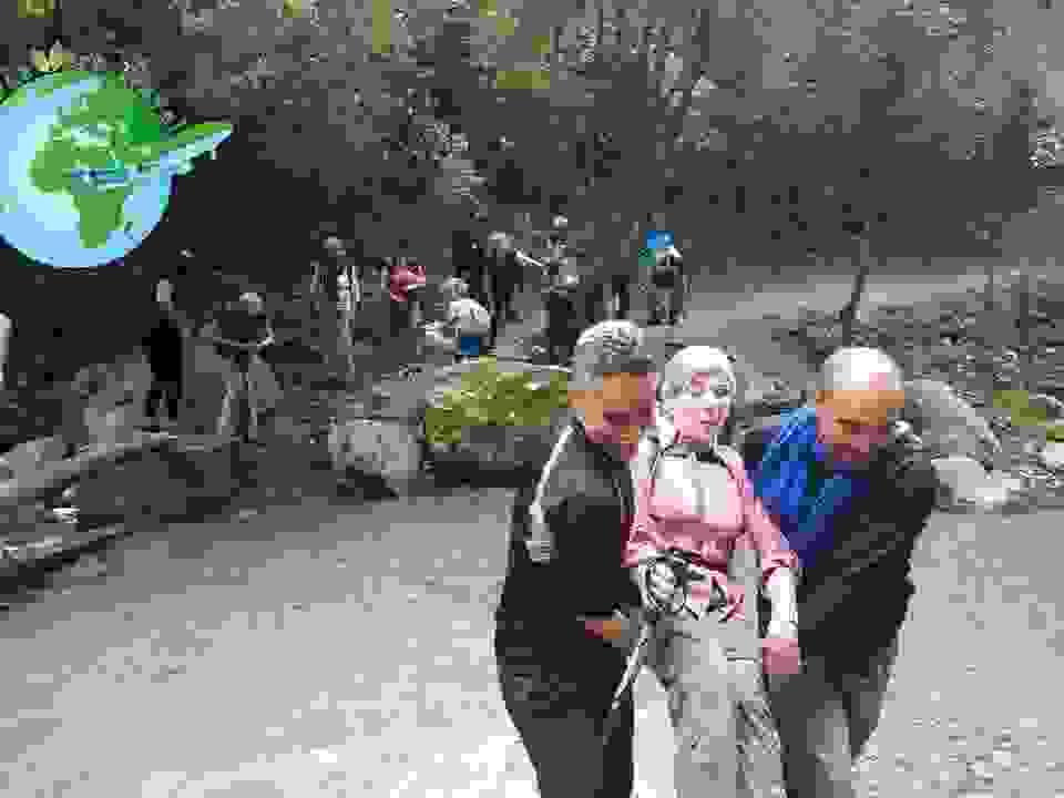 Section image