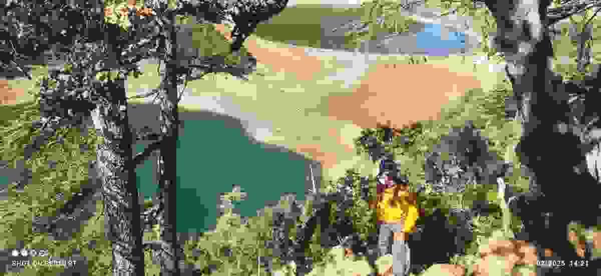 Section image