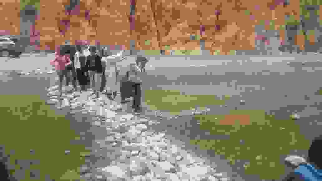Section image