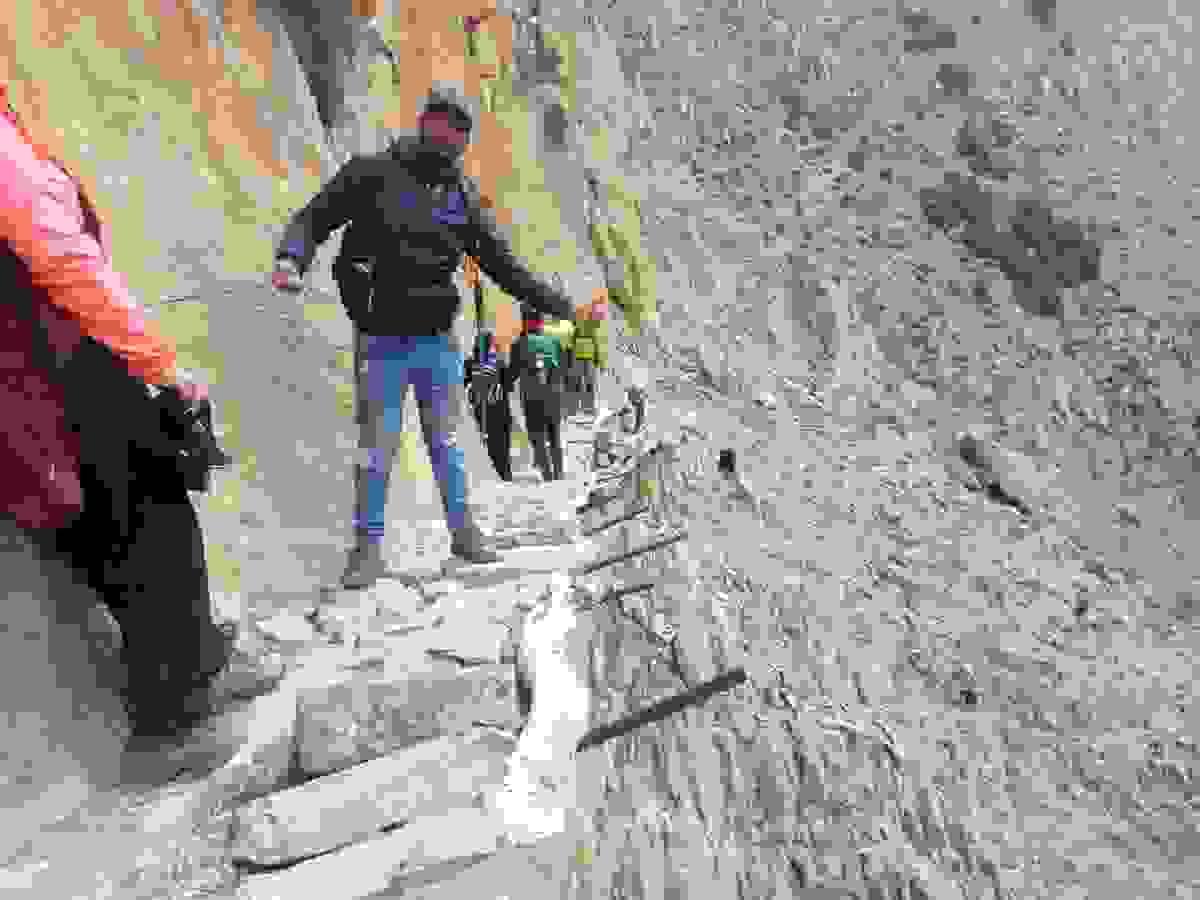 Section image