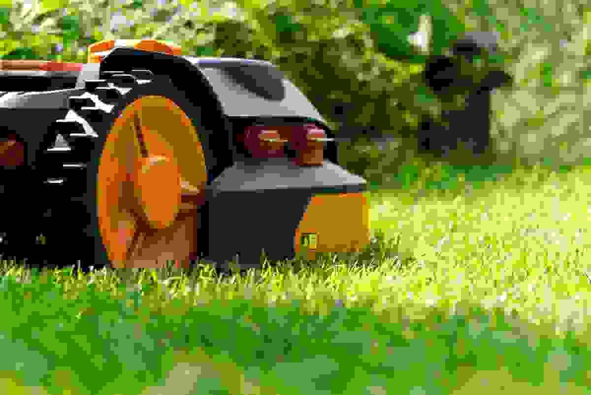 broken image