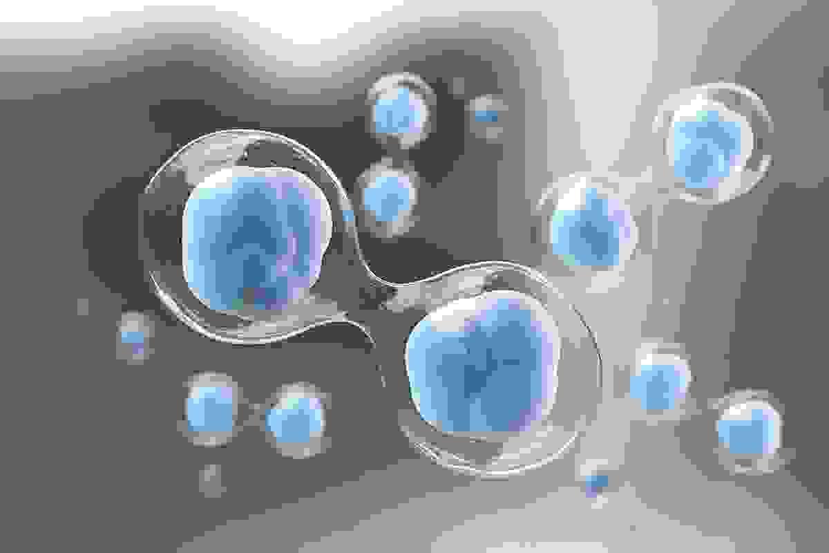 Our stem cell technology represents the forefront of the biotechnology field, aiming to promote a revolution in medical aesthetics and regenerative medicine. Through advanced cell processing technology, we can provide patients with personalized and efficient treatment plans, enhancing quality of life. stem cell technology innovation What are we doing LingFeng Biotechnology Group Ltd., referred to as LFBG, was established in 2025, headquartered in Delaware, USA, is a global leading biotechnology company focused on stem cell technology, dedicated to innovating in the fields of medical beauty, anti-aging, and regenerative medicine.