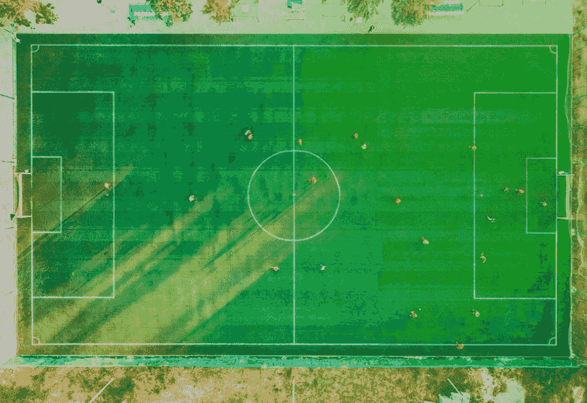 Section image