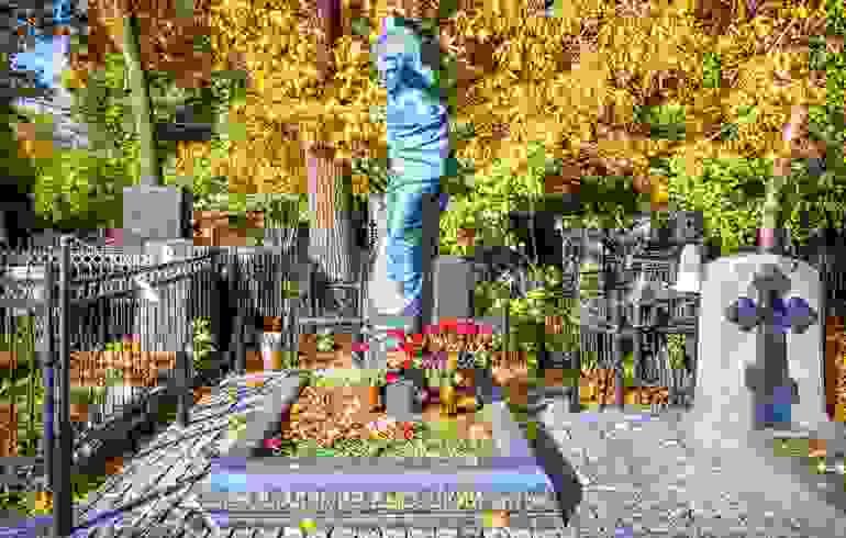 broken image