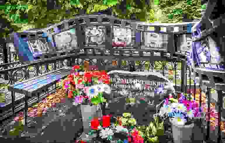 broken image