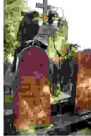 broken image