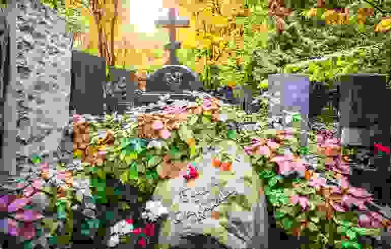 broken image
