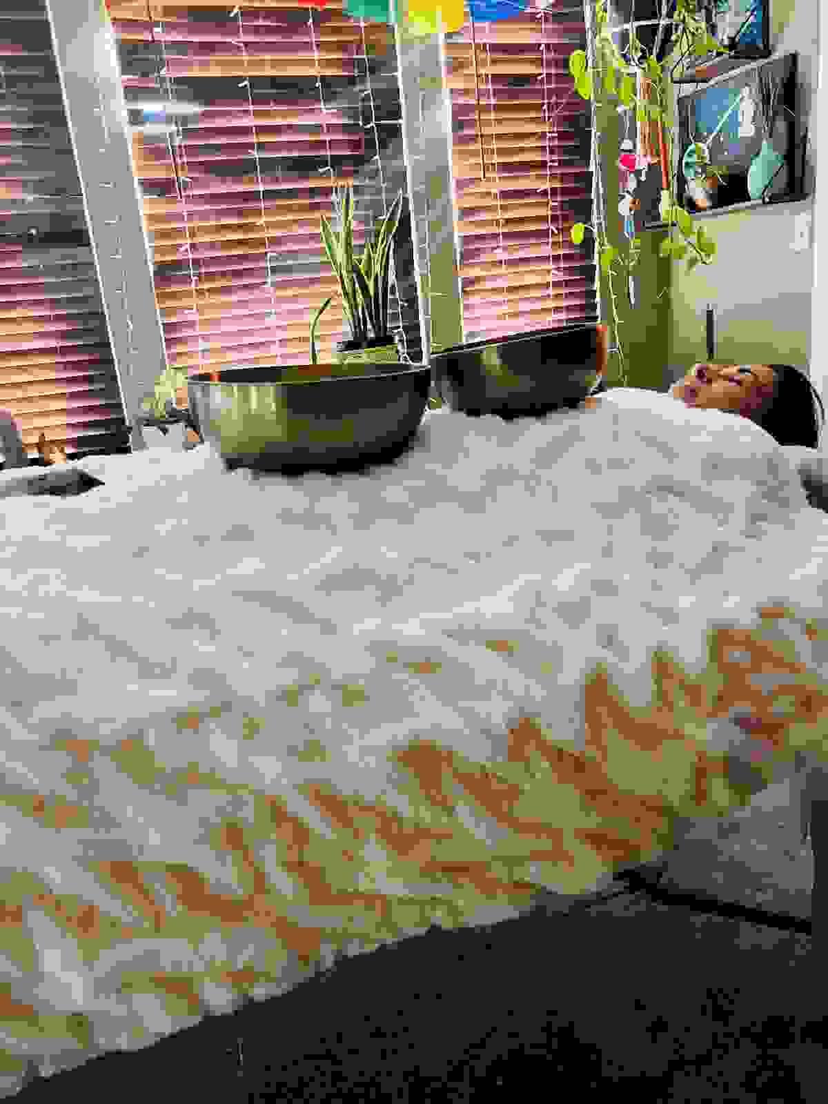 Section image