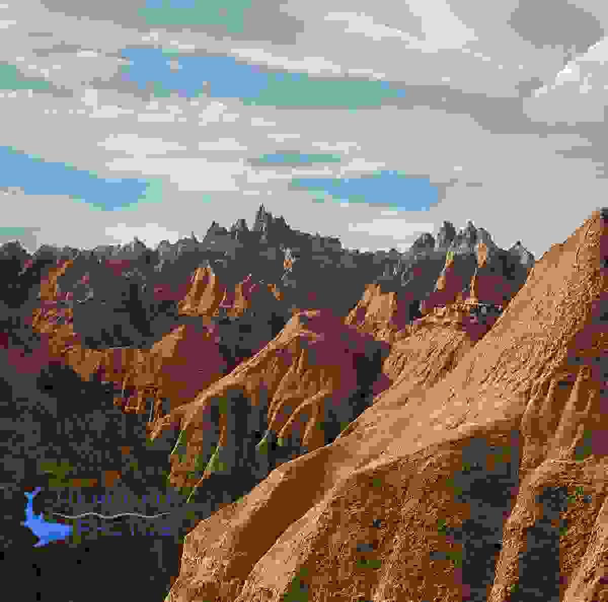 Section image