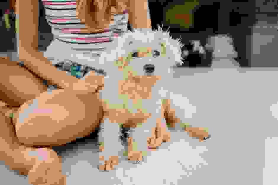 broken image