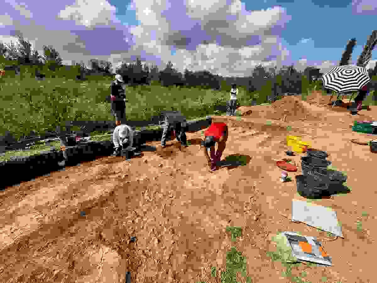 Section image