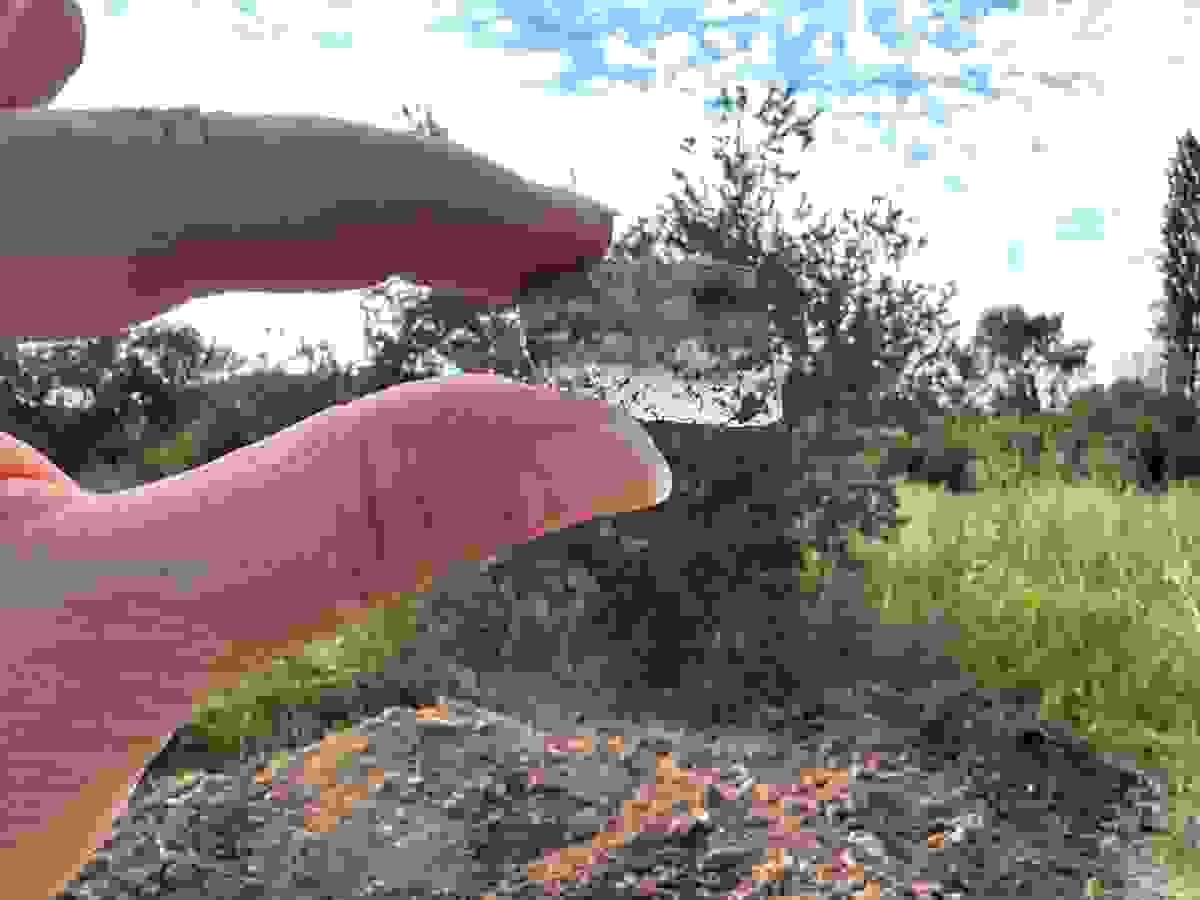 Section image