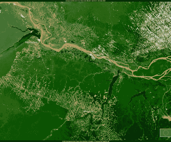 Section image