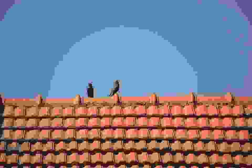 broken image
