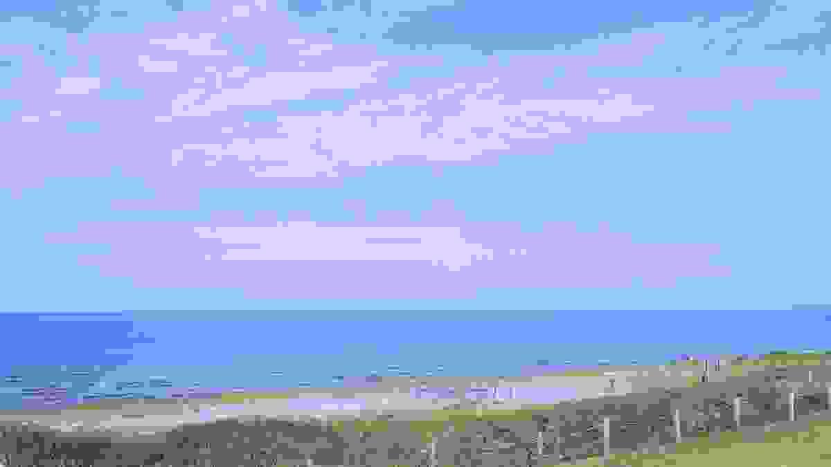 broken image