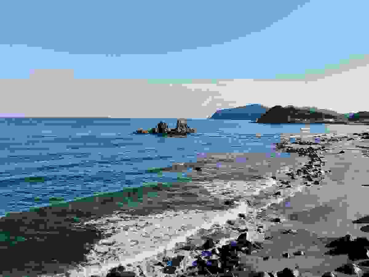 Section image